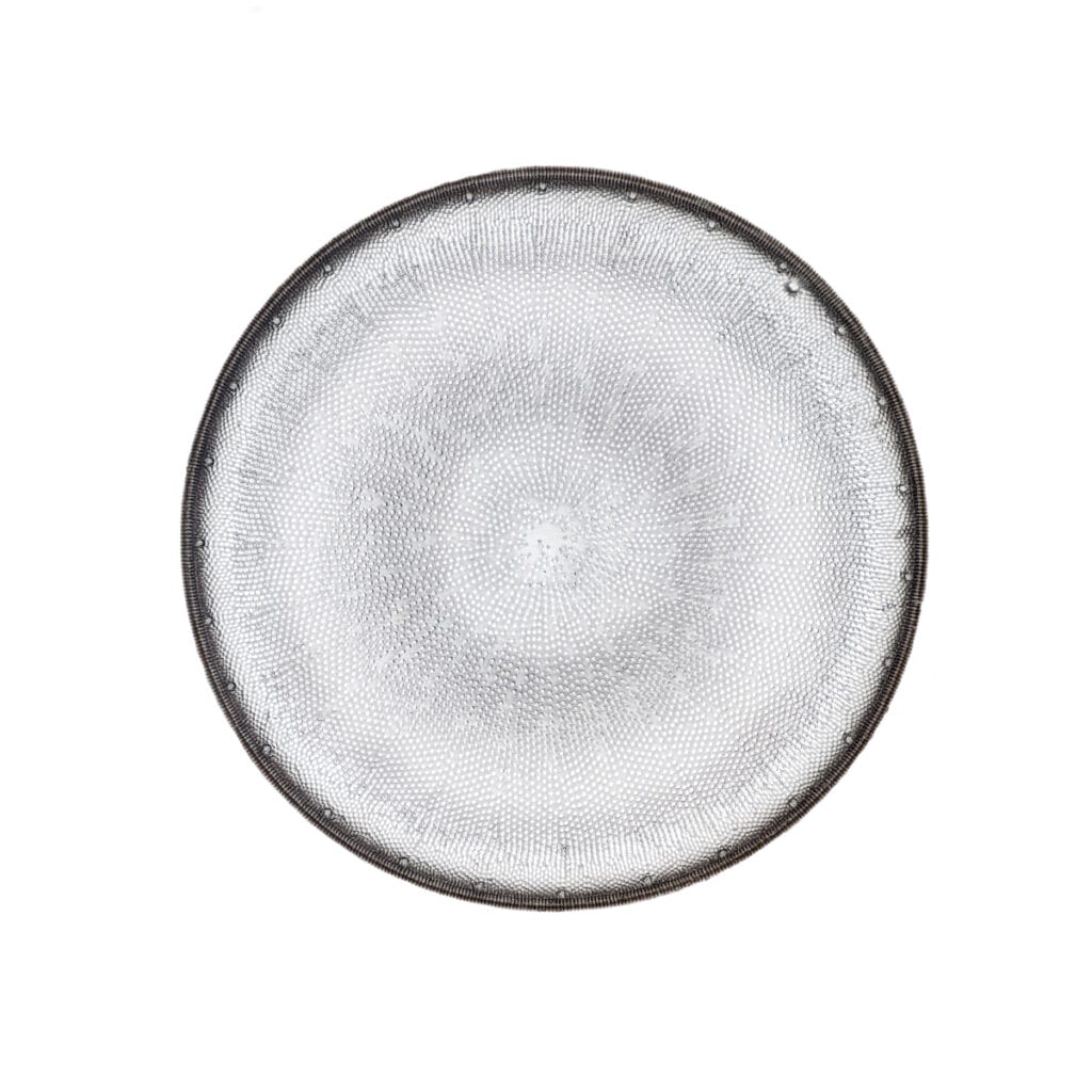 Actinocyclus ehrenbergii
