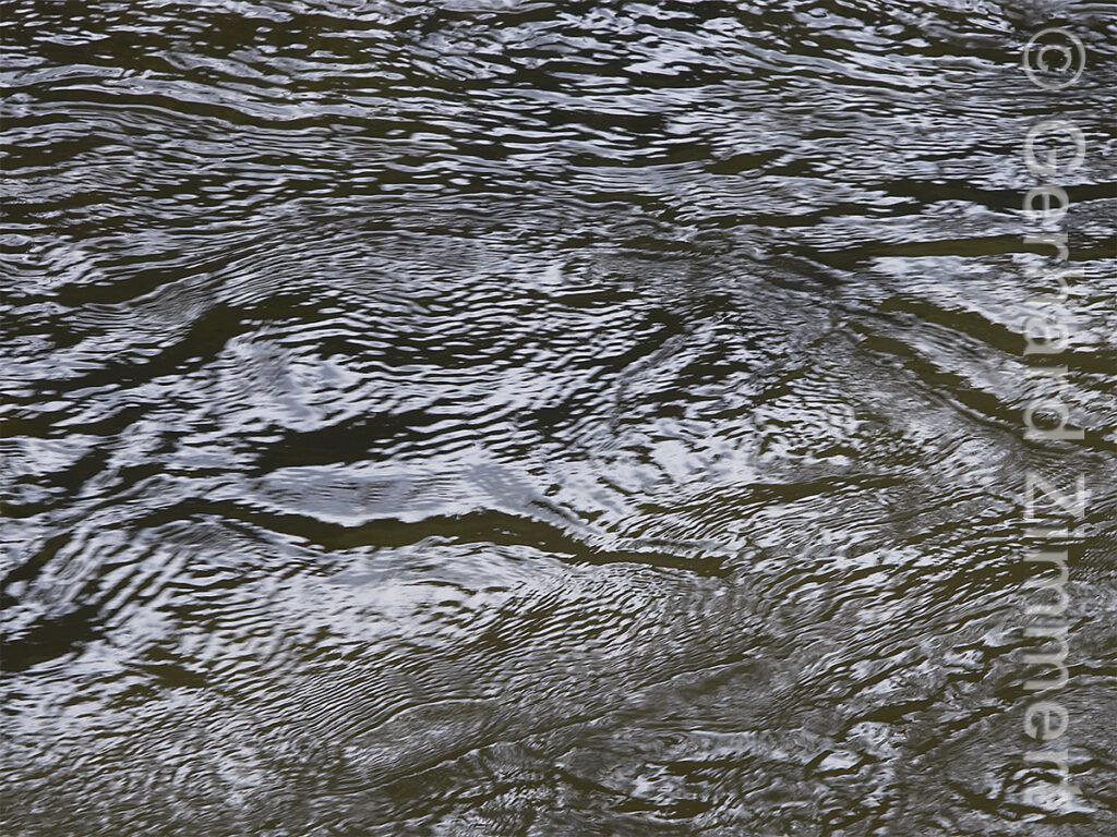 wasser12