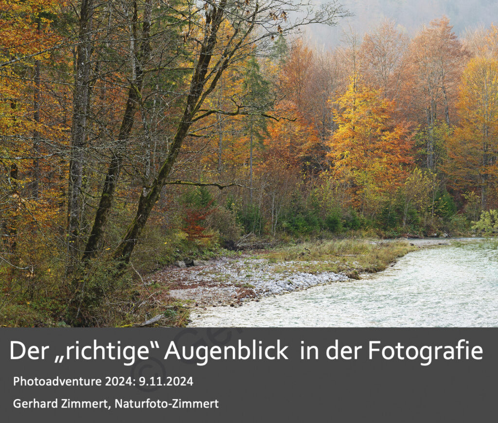 Foliensatz Augenblick