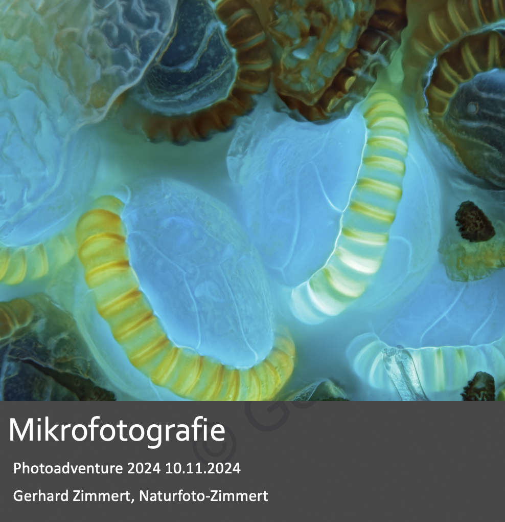 Mikrofotografie