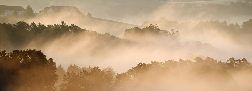 Mühlviertel Morgennebel