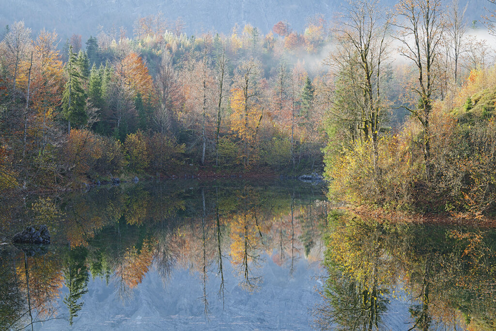 Großer Ödsee Nebel im Gegenlicht
