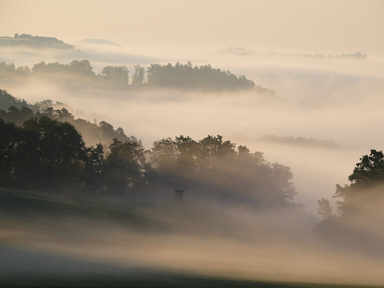 Morgennebel Mühlviertel