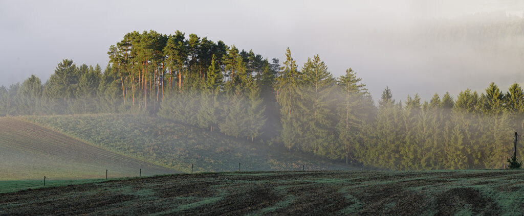 Wald Mühlviertel Panorama