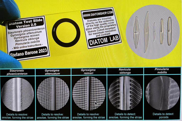 Diatomeen-Testpräparat