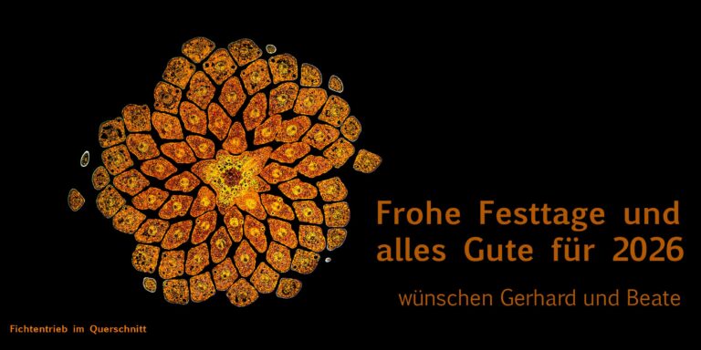 Weihnachtskarte-2025a